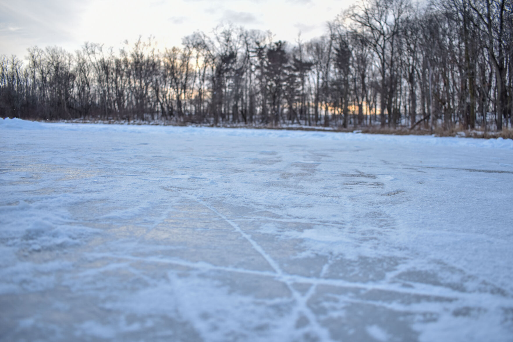 2/14/21 Celery Bog Ice Skating